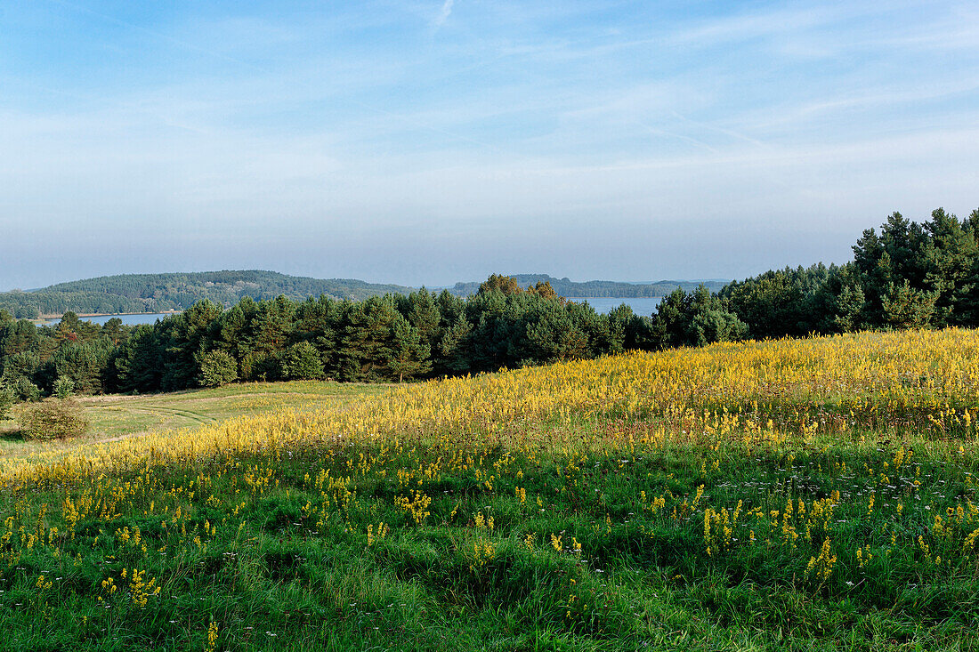 Schmollensee, Benz, Usedom, Mecklenburg-Vorpommern, Germany