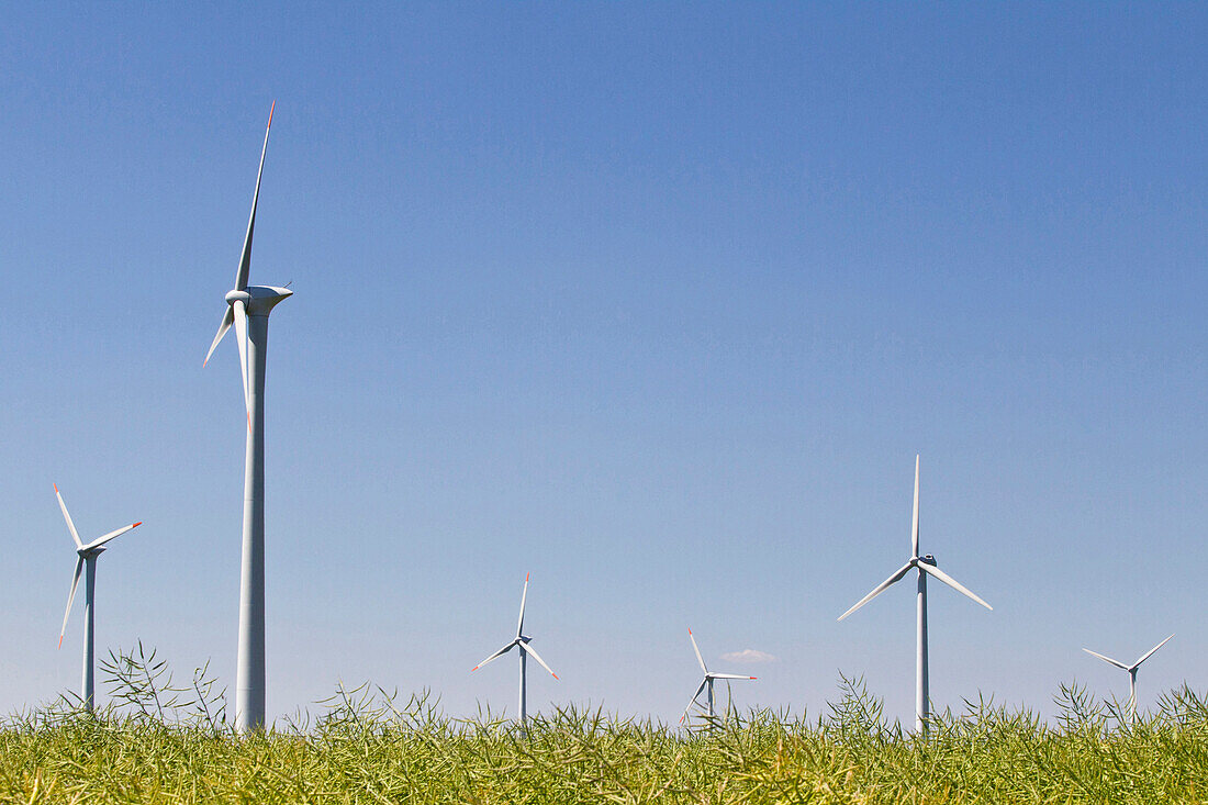 Wind turbines, Dithmarschen, Schleswig-Holstein, Germany