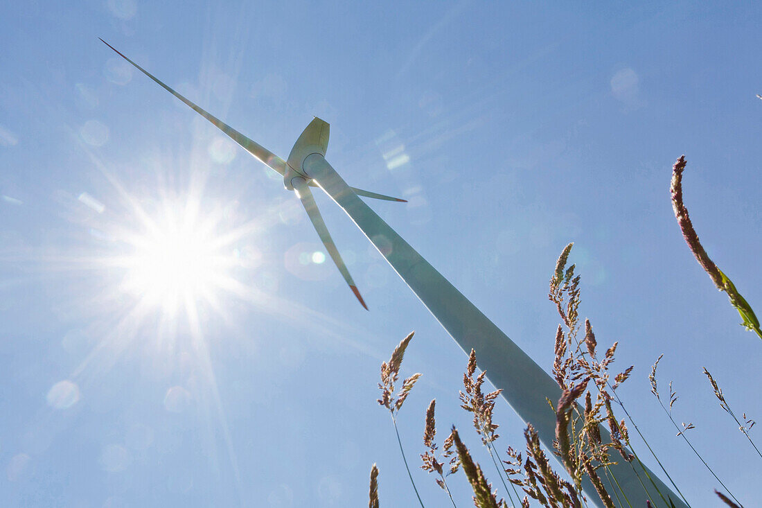 Windkraftanlage, Dithmarschen, Schleswig-Holstein, Deutschland