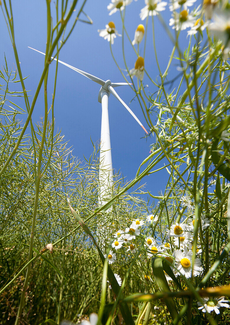 Wind turbine, Dithmarschen, Schleswig-Holstein, Germany