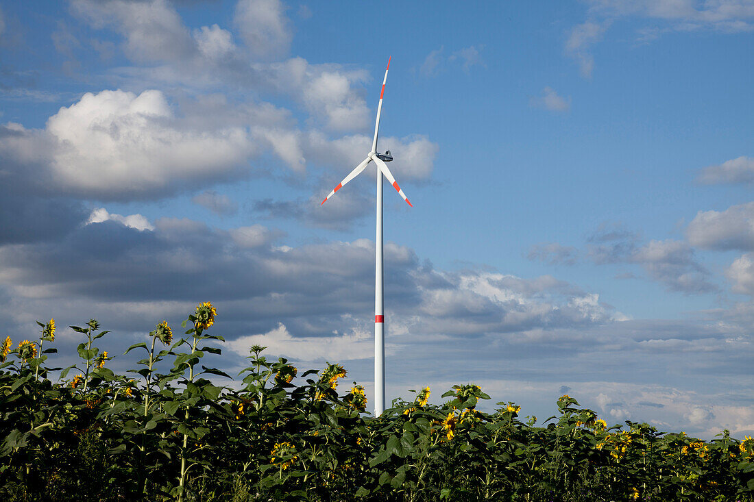 Windkraftanlage, Biebelried, Unterfranken, Bayern, Deutschland