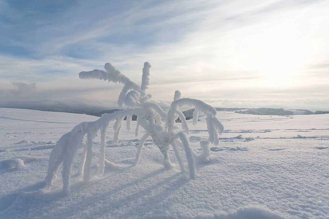 Snow- covered landscape at Wasserkuppe near Gersfeld, low mountain range, Rhoen, Hesse, Germany