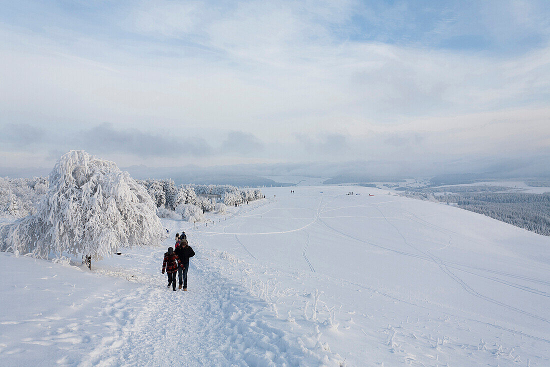 Winter stroll at Wasserkuppe mountain near Gersfeld, low mountain range, Rhoen, Hesse, Germany