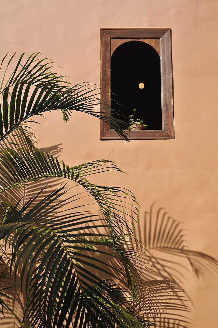 Palm leaves an window in Hotel Quinta Roja, Garachico, Northwest Tenerife, Spain