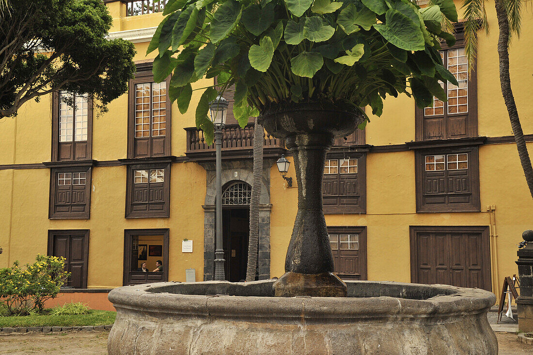 Brunnen mit tropischem Bewuchs auf dem Platz vor dem Museum Casa Museo Los Caceres, Icod de los Vinos, Nordwest Teneriffa, Spanien