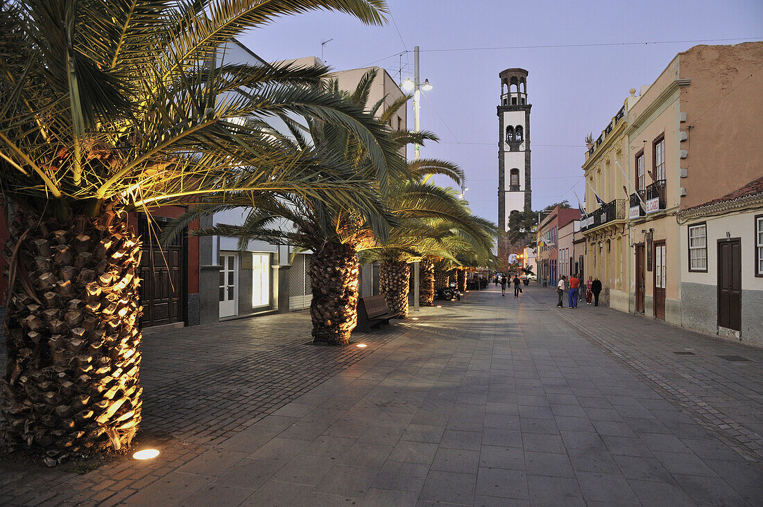 Palm trees in a calm street, downtown of Santa Cruz, Iglesia de la Conception, Tenerife, Canary Islands, Spain