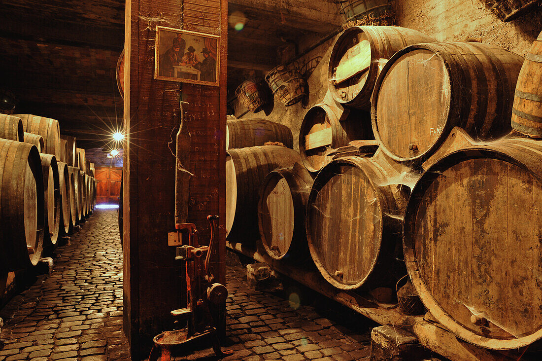 Ruta del Vino, Bodega Monje, hölzerne Fässer in Weinkellerei, El Sauzal,  Teneriffa, Kanaren, Spanien