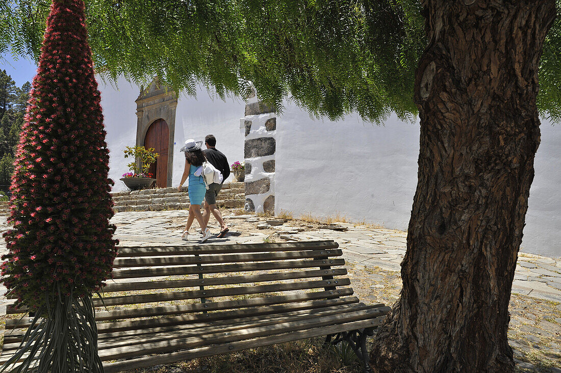 Couple, tree with bench and blooming Tajinaste in front of the church in Vilaflor, South Tenerife, Canary Islands, Spain