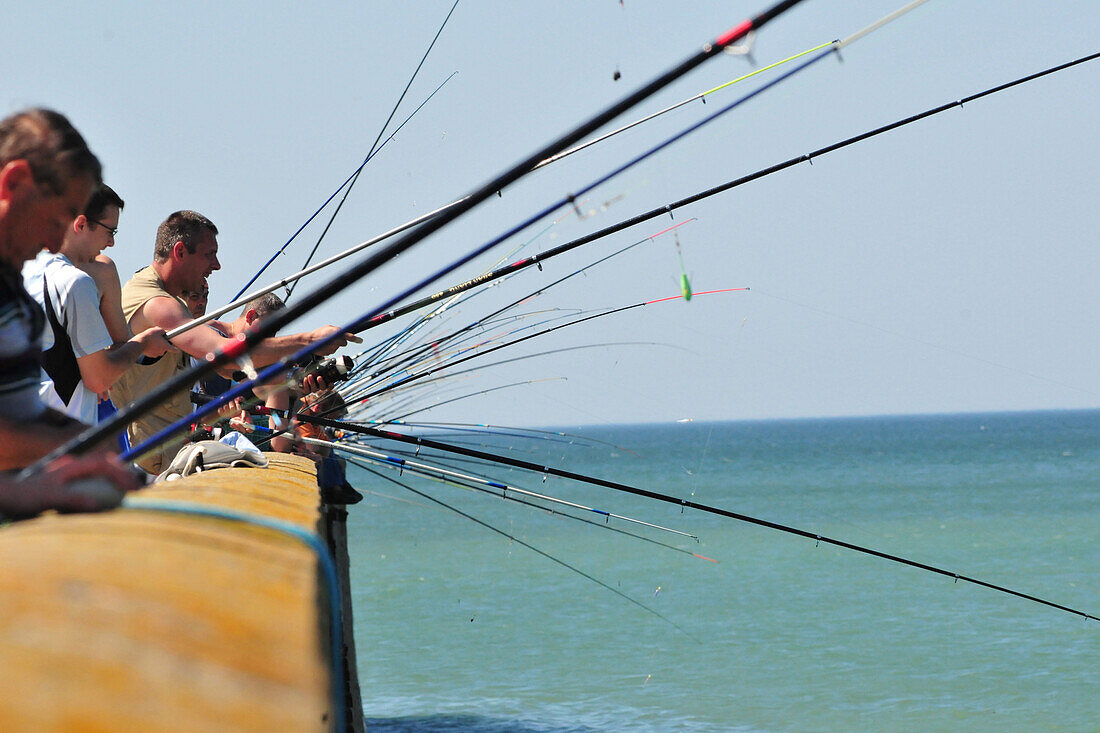 Line Fishers, Somme (80), Picardy, France