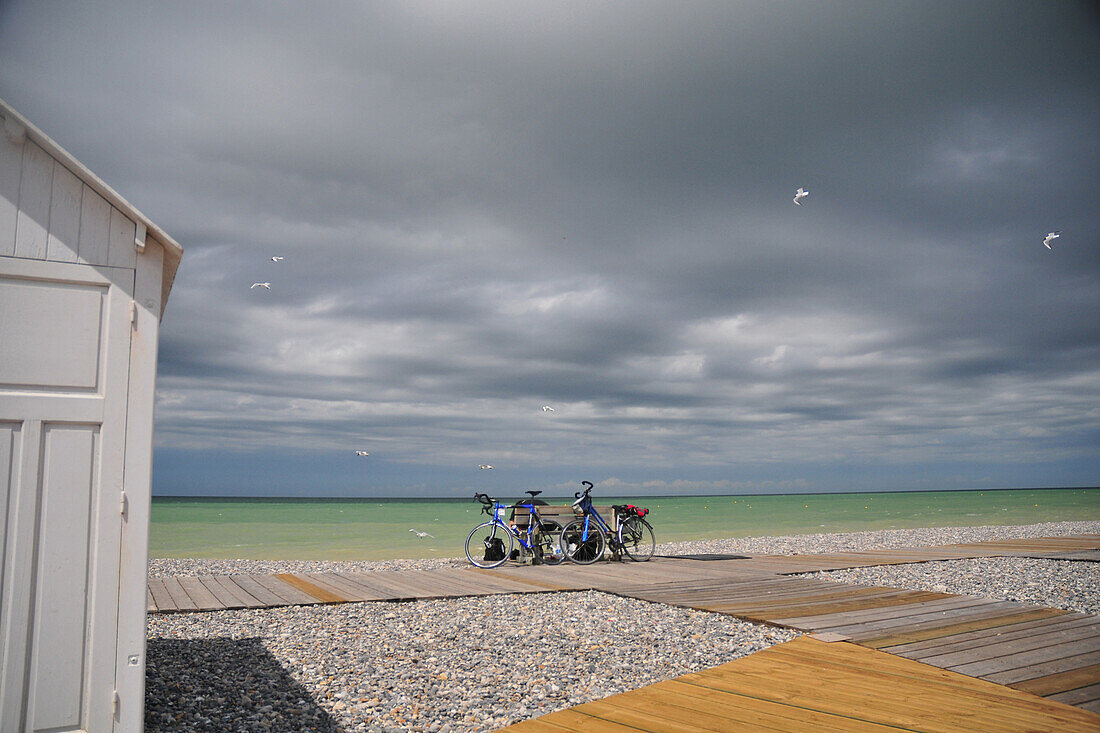 Bench, Bicycle, Seagull, Beach Hut, Somme (80), Picardy, France