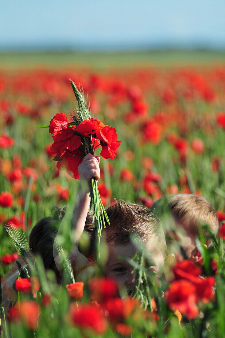 Children In A Poppy Field, Somme (80), Picardy, France