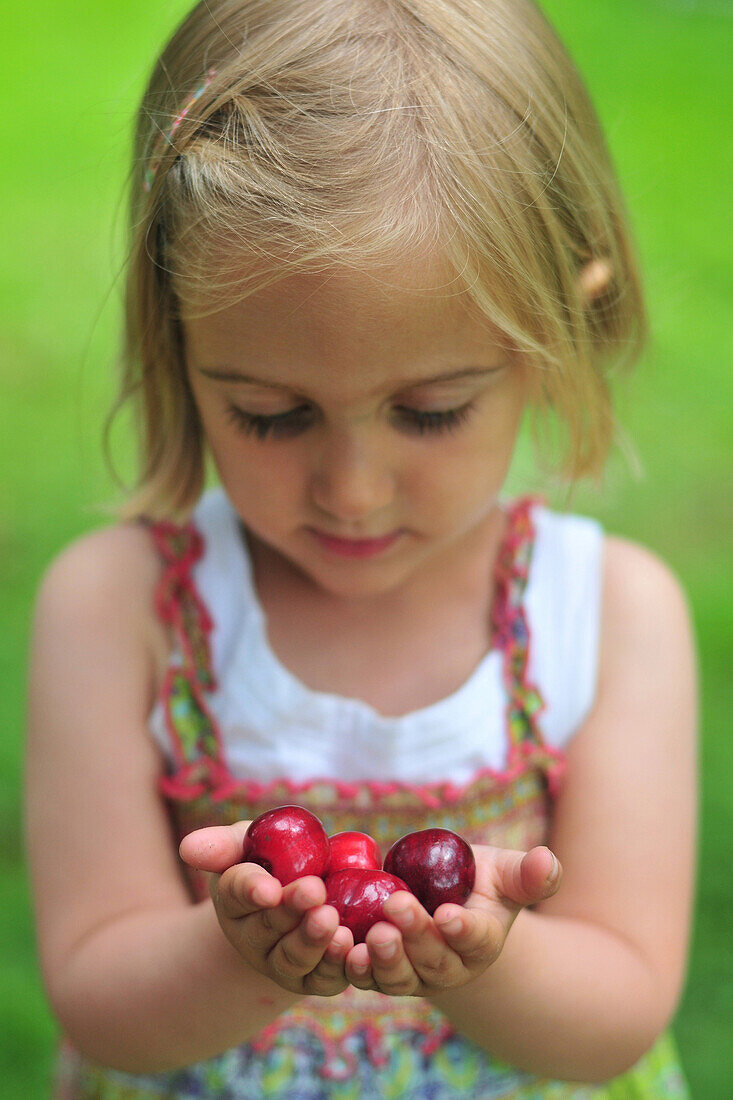 Little Girl, Berries, Somme (80), Picardy, France