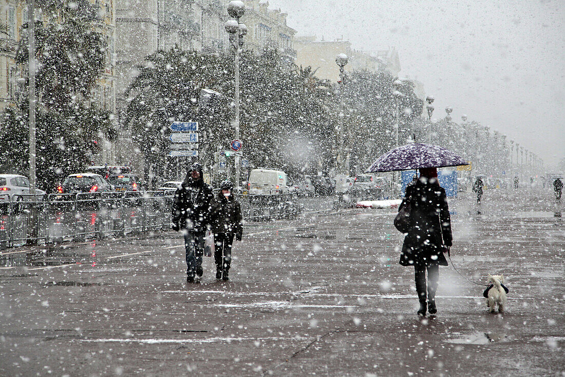 The Promenade Des Anglais In The Snow, A Woman Walking Her Dog, Nice, Alpes-Maritimes (06), France