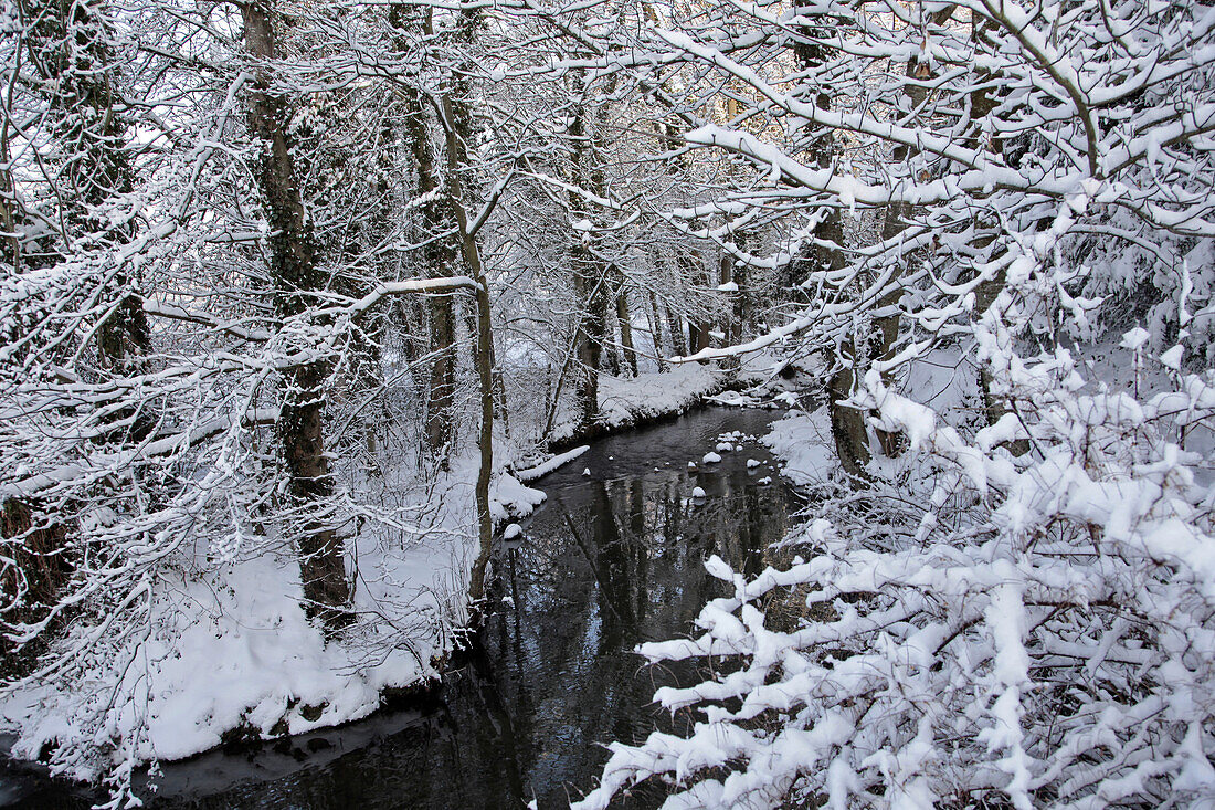 Banks Of The Risle, Snowy Winter Landscape, Rugles (27), Eure, France
