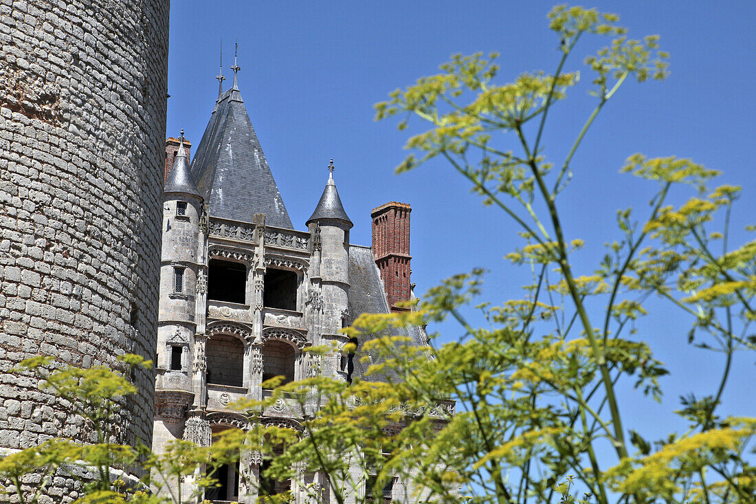 Medieval Garden At The Chateau De Chateaudun, Former Property Of Jean De Dunois, Eure-Et-Loir (28), France