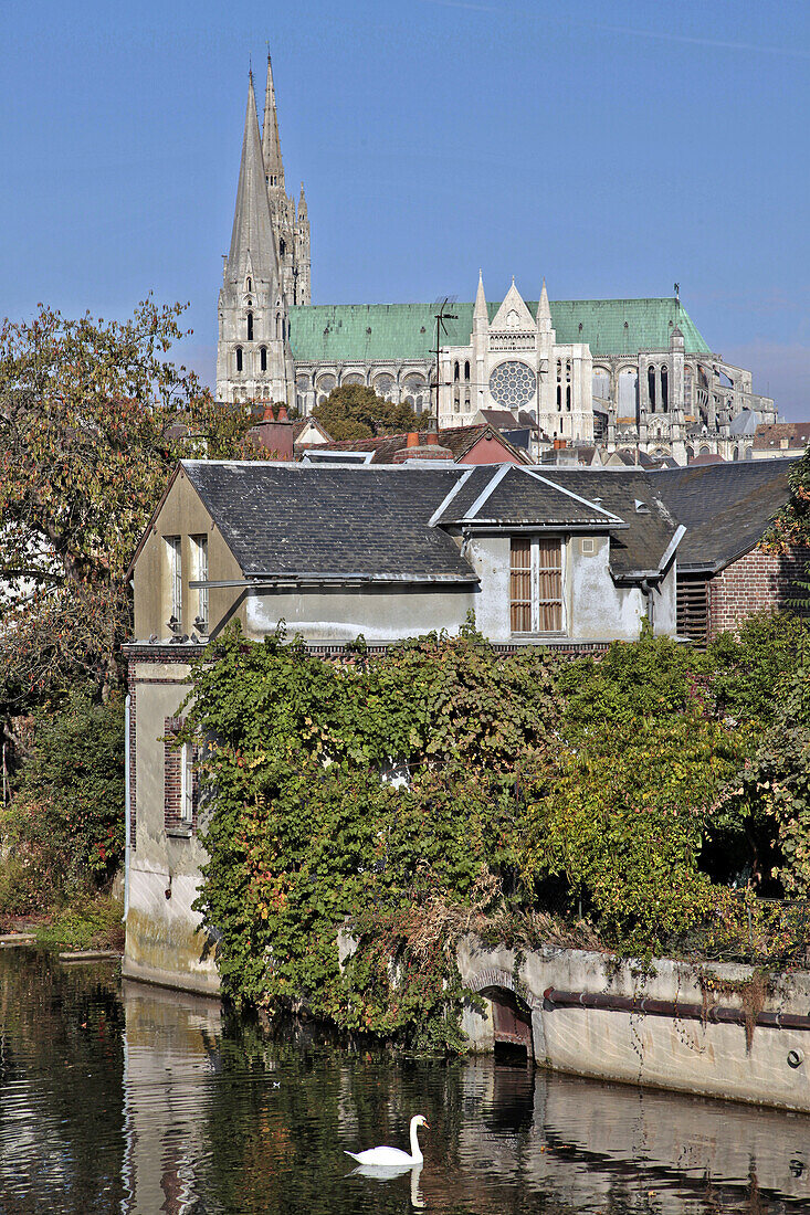 Notre-Dame Cathedral Seen From The Lower Town Along The Banks Of The Eure, Chartres, Eure-Et-Loir (28), France