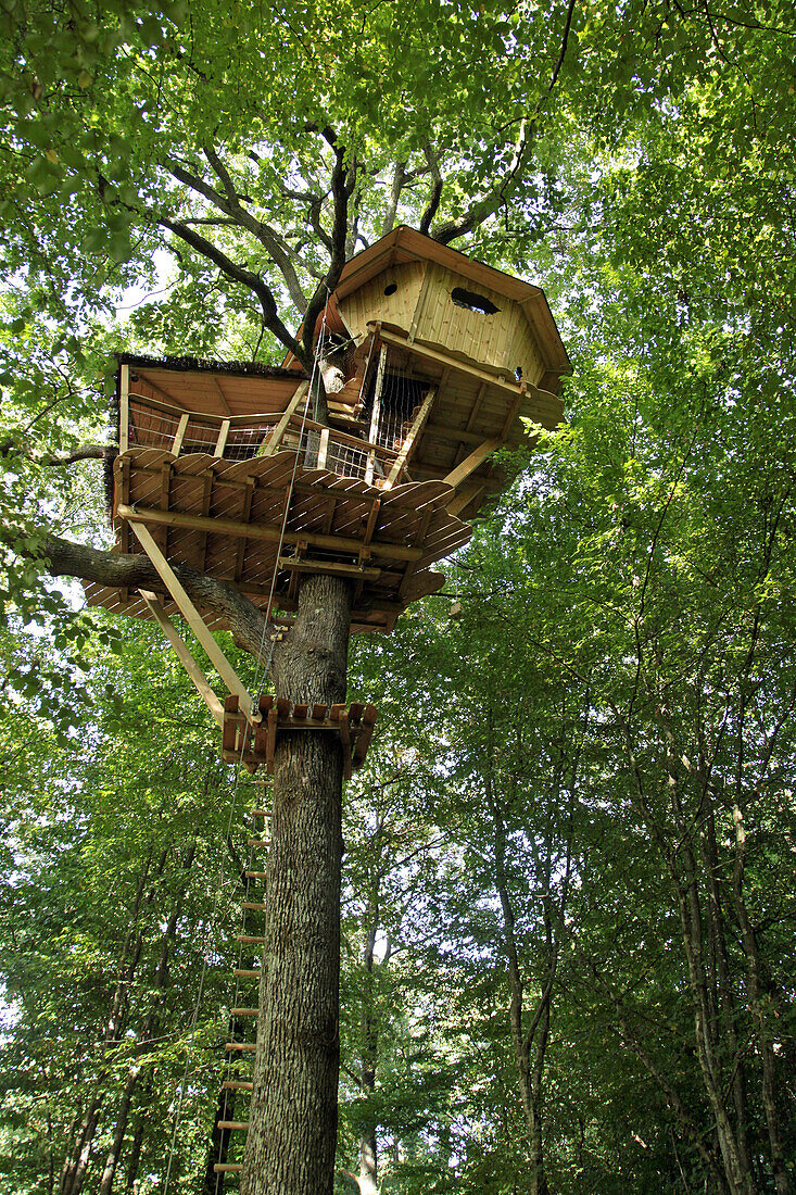Treehouses In The Landry Woods, Domaine Du Bois Landry, Champrond-En-Gatine, Perche, Eure-Et-Loir (28), France