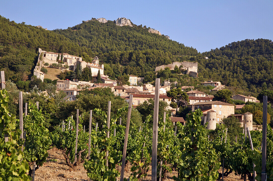 Vineyards And Village Of Gigondas At The Foot Of The Dentelles De Montmirail, Cotes-Du-Rhone Wine, Vaucluse, France