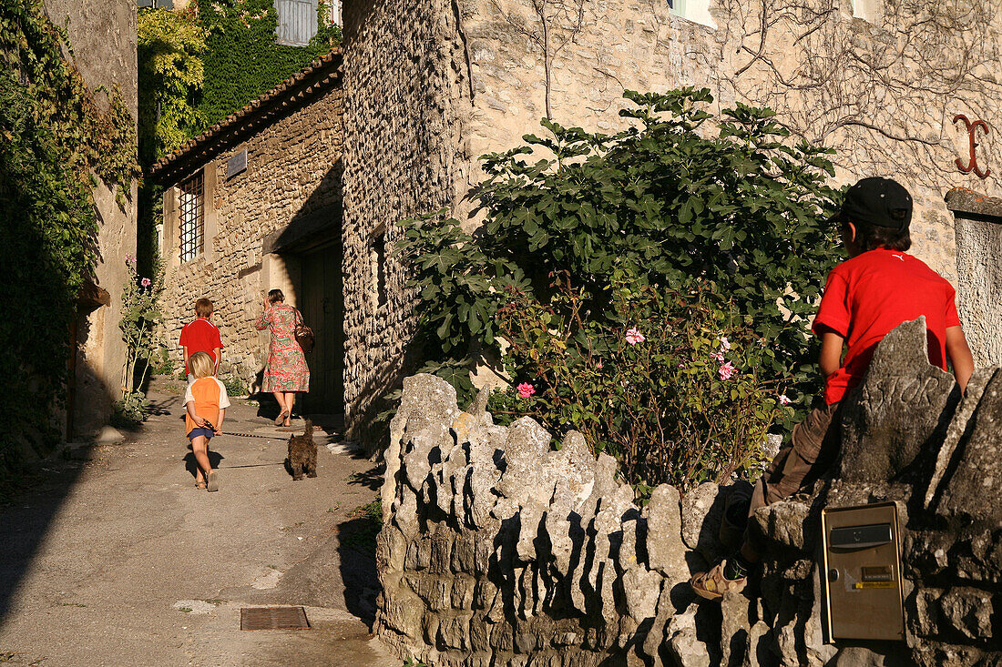 Small Street In The Fortified Village Of Saignon On The Northern Slope Of The Haut Luberon, Vaucluse (84), France