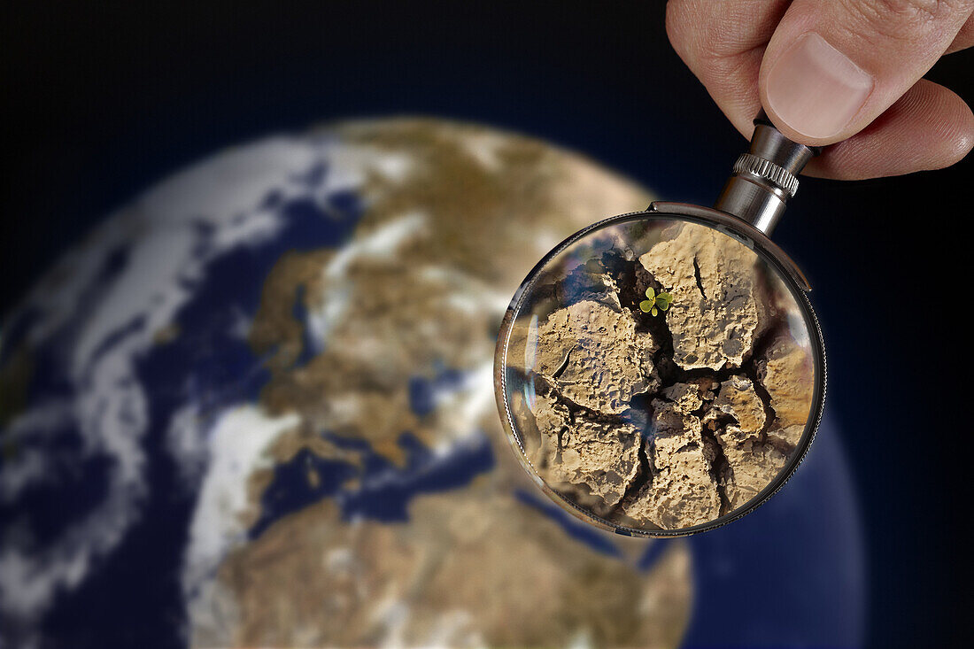Magnifying Glass Enlarging A Detail Of The Earth Showing A Young Plant Sprout, Illustration Of Rebirth Following The Drought, Photo Exhibition 'Fragile Earth' Presented By The Association 'L'Effet Colibri' France