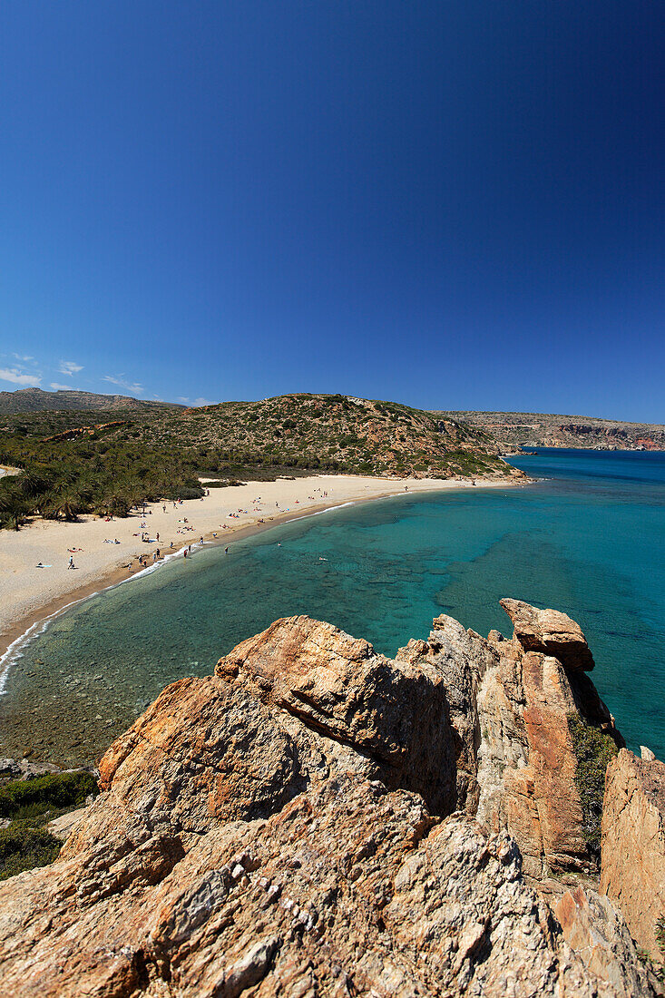 Palm beach of Vai, largest natural palm forest in Europe, Vai, Prefecture of Lasithi, Crete, Greece
