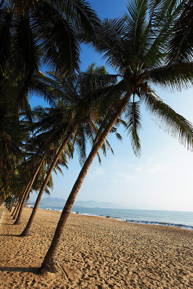 Beach, Nha Trang, Khanh Ha, Vietnam