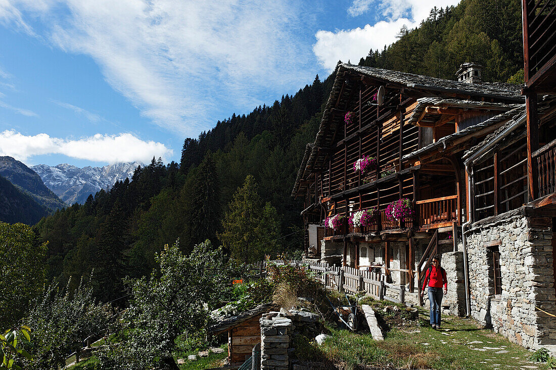 Hiking, Walser Settlement, Monte Rosa Massif, Alagna, Valsesia, Piedmont, Italy