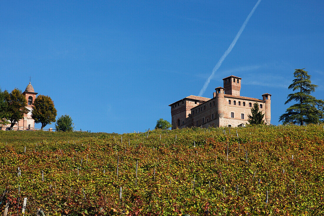 Castello Grinzane Cavour, Langhe, Piedmont, Italy