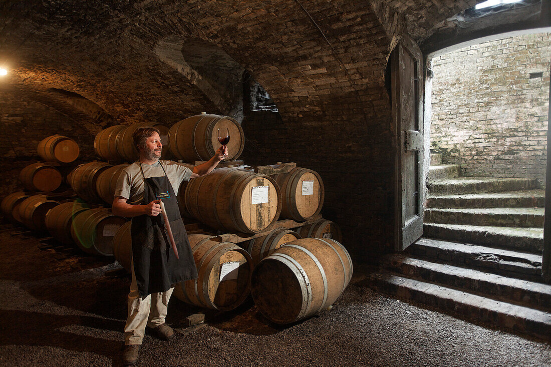 Barolo Barrique, Wine Cellar Ronato Ferrero, La Morra, Langhe, Piedmont, Italy
