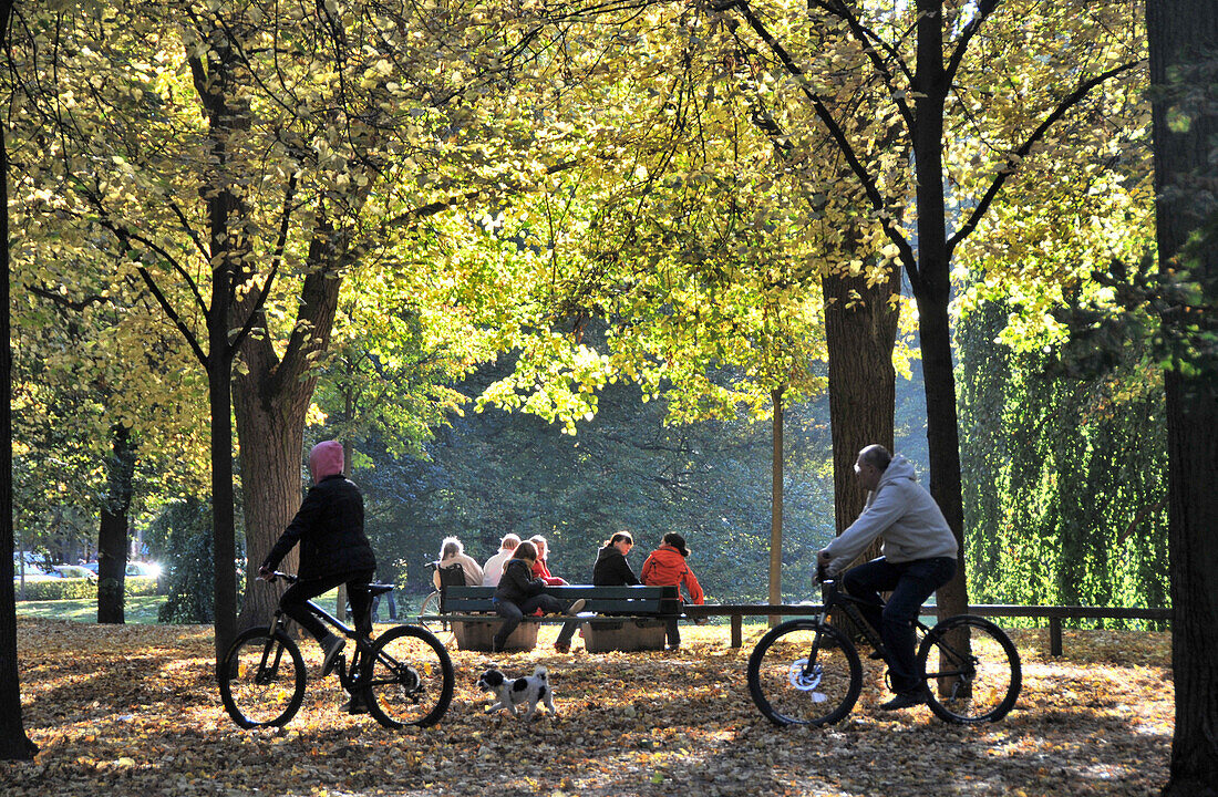 Menschen unter Bäumen im Luitpoldpark, Schwabing, München, Bayern, Deutschland, Europa