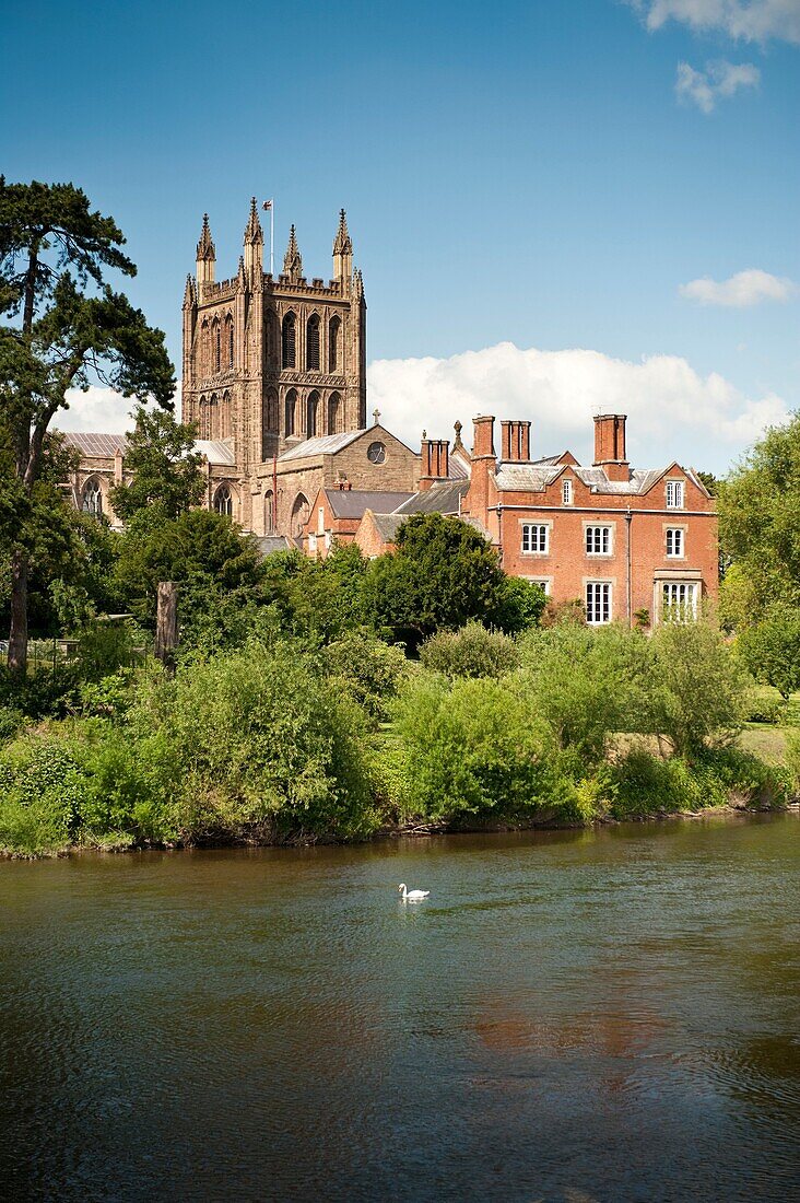 Hereford Cathedral on the banks of the River Wye, Hereford city, Herefordshire, England, UK