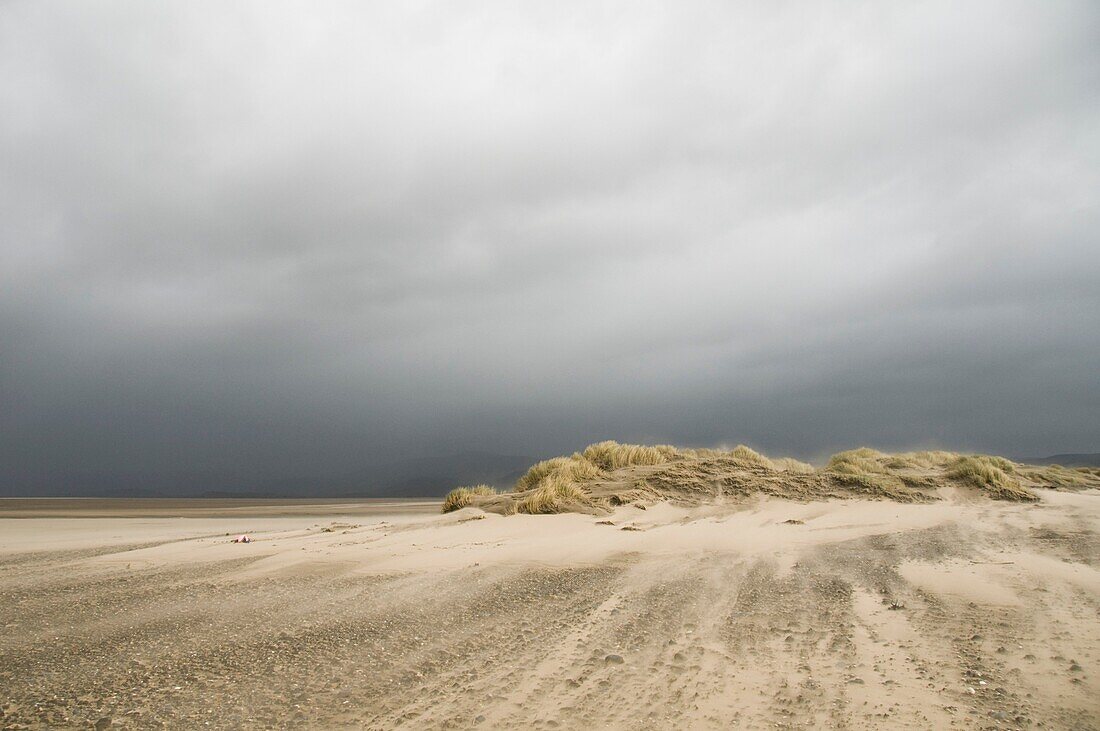 Wind blowing sand, Ynyslas Nature Reserve, Borth, Ceredigion, Wales, UK