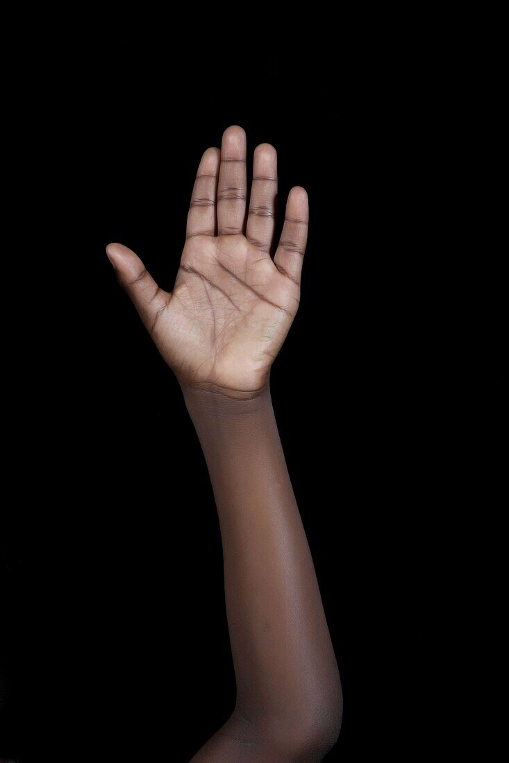 African american, Arm, Black, Black background, Body parts, Boy, Childhood, Ethnic, Hand, High five, Kid, Model, Palm, Raising hand, Strength, Studio, Young, Youth, X1I-1103712, agefotostock