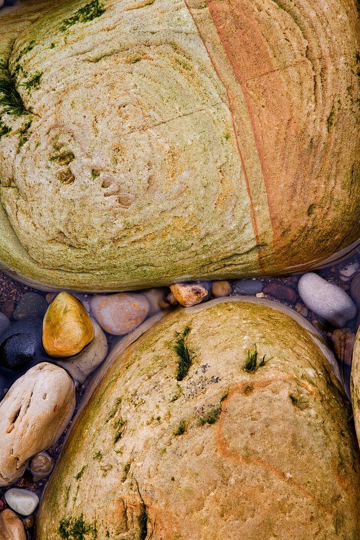 Wet Stones on The Beach at Hayburn Wyke near Scarborough Yorkshire England