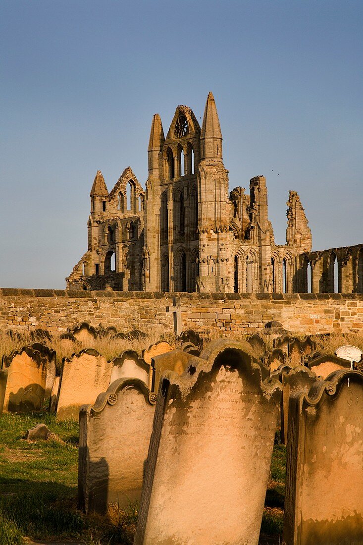 Whitby Abbey from St Marys Churchyard in Soft Summer Evening Light Whitby North Yorkshire England