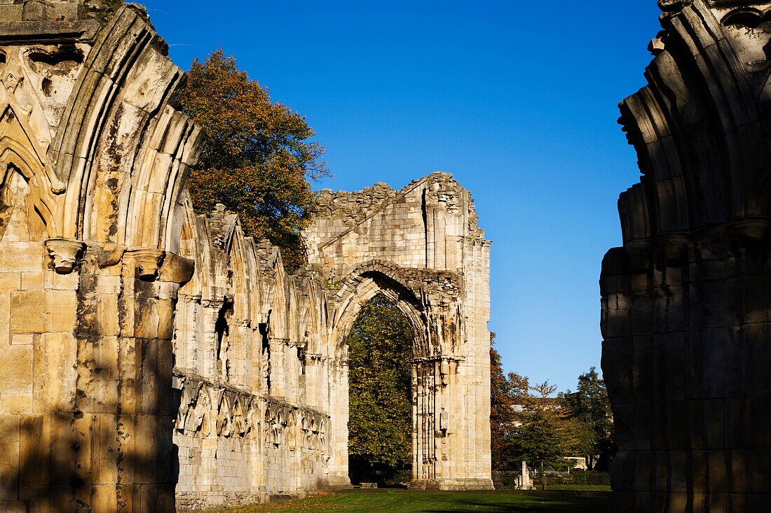 St Marys Abbey Ruin in Museum Gardens York Yorkshire England
