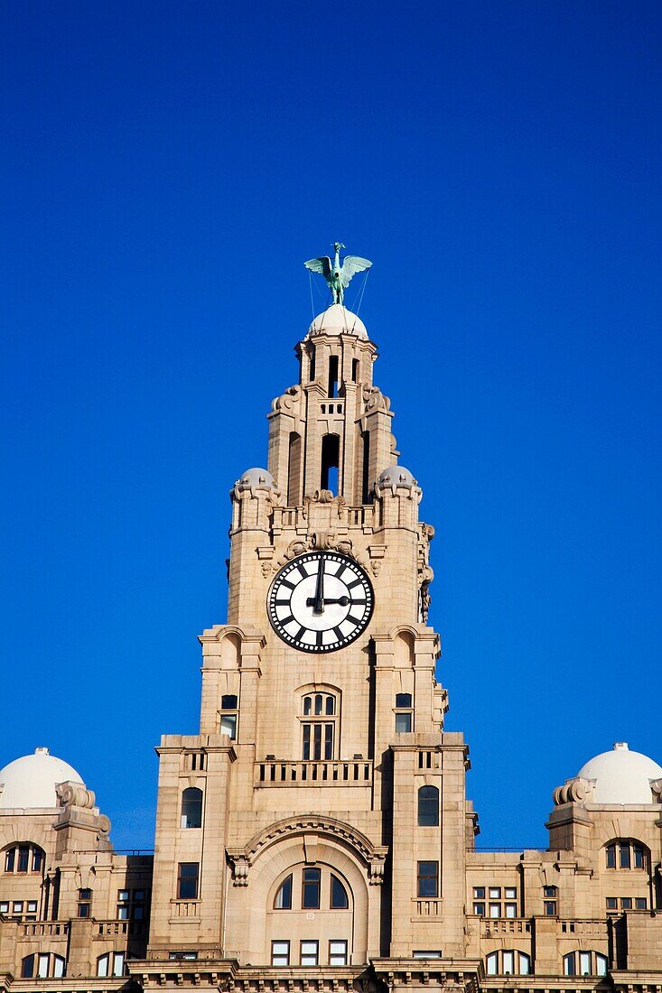 Royal Liver Building Liverpool Merseyside England