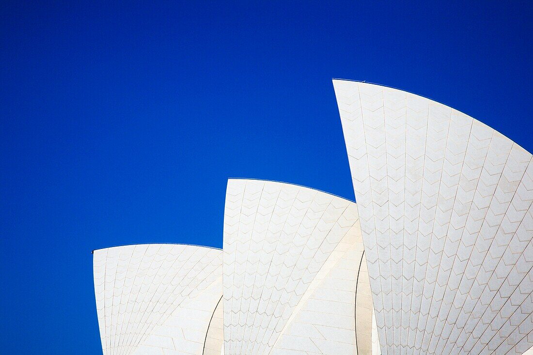 The Opera House from the Harbour Sydney New South Wales Australi