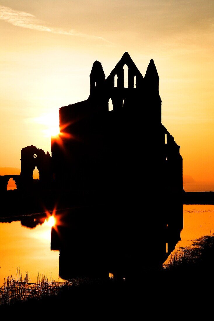 Whitby Abbey Whitby Yorkshire England