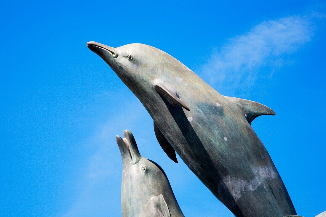 Cardigan Bay Dolphins Statue at Barmouth Snowdonia Wales