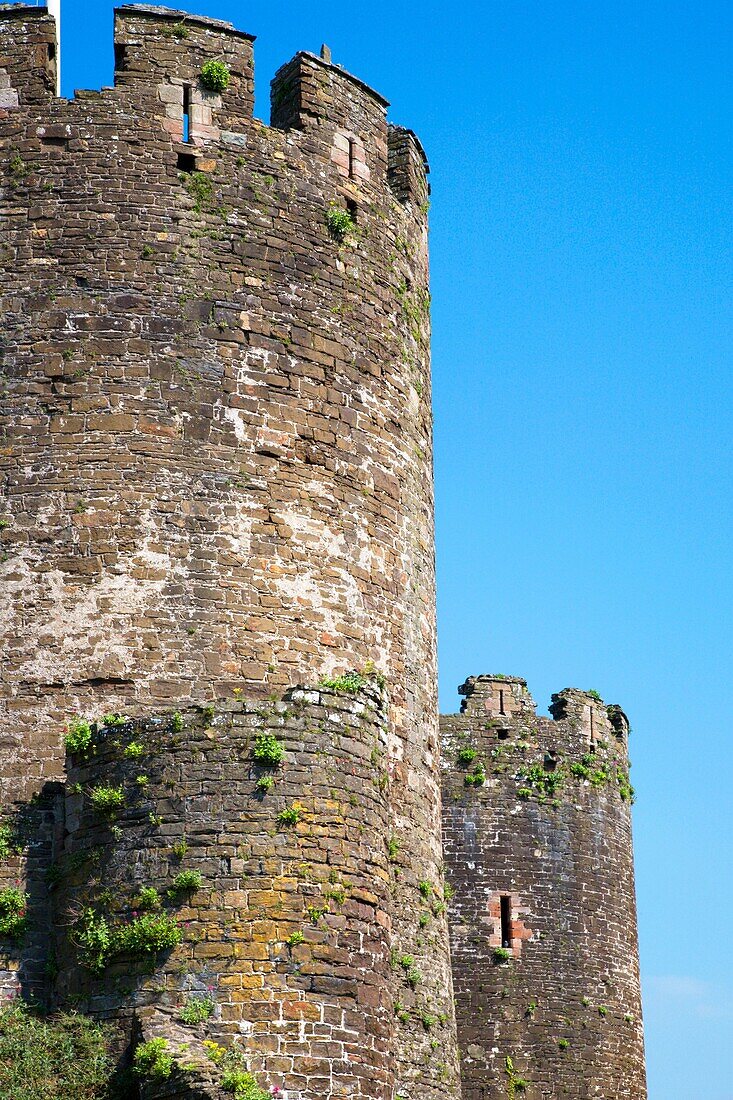 Towers of Conway Castle Conway Wales