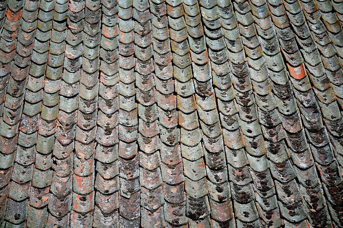 roofing tiles of the old helmet, placed to the traditional way of the zone of Segovia