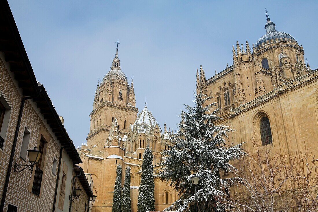 Cathedrals of Salamanca city in winter World Heritage City in Castilla y León, Spain