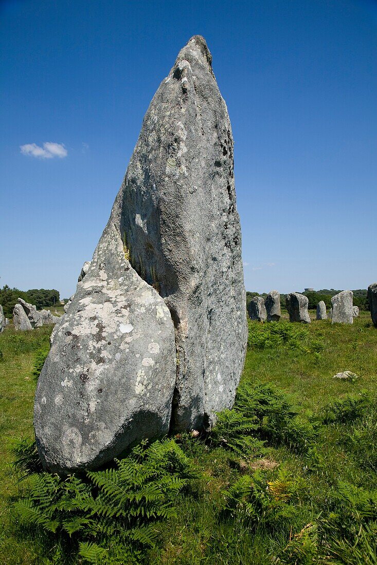 The Carnac stones are a collection of megalithic site around the village of Carnac. There are more than 3, 000 stone and the oldest stones were erected in 4500BC.