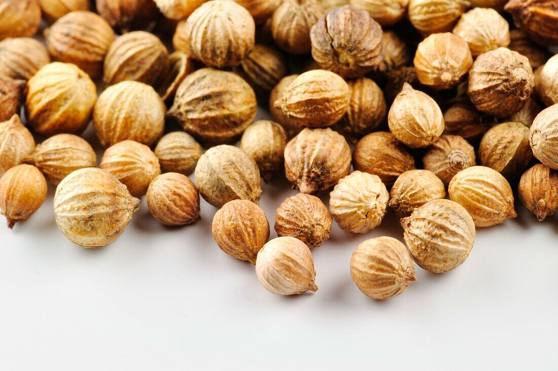 Spices, Coriander seeds