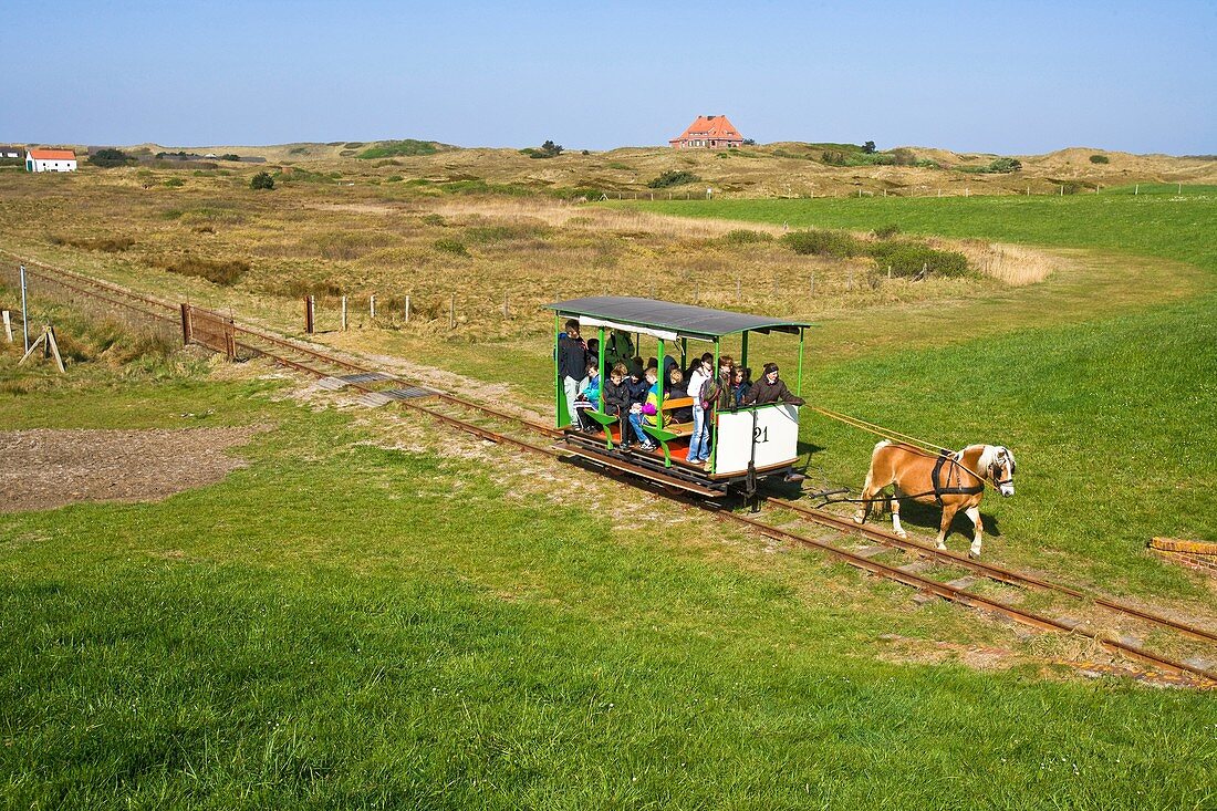 Horse-driven railway on the island of Spiekeroog, Germany, Europe
