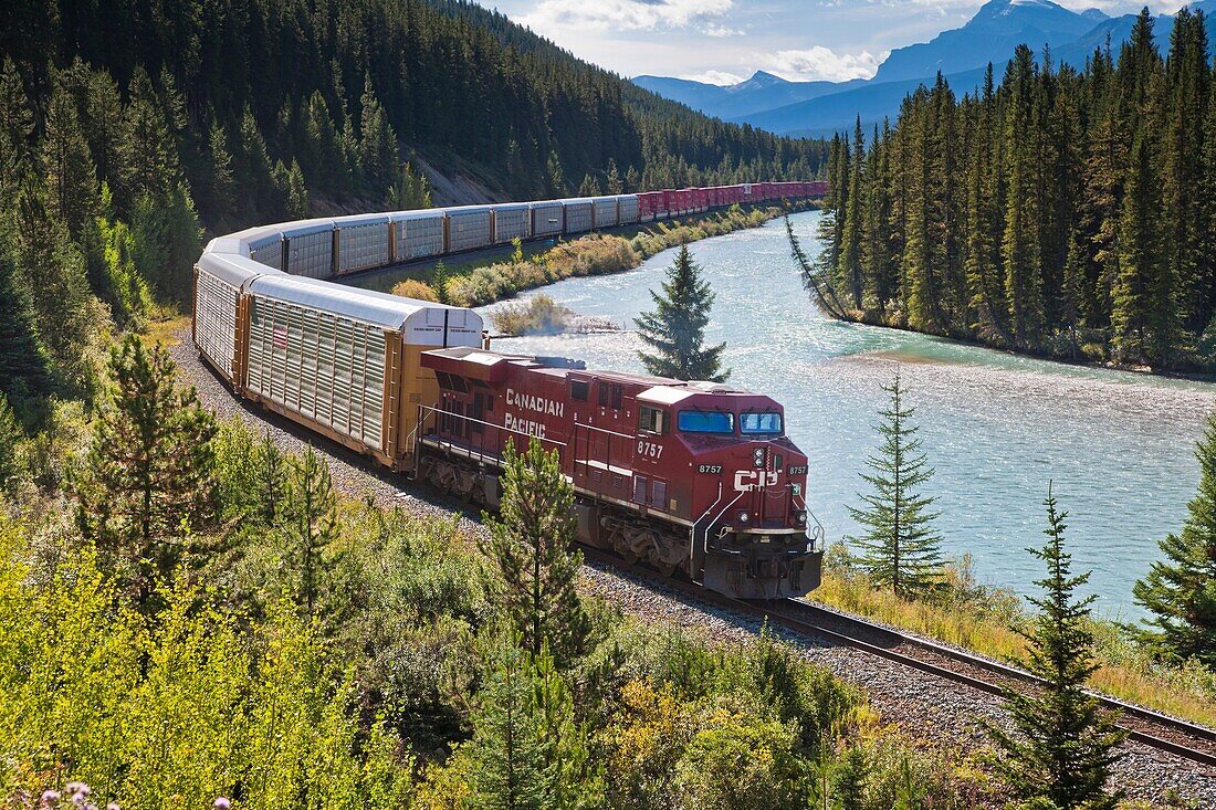 Alberta, Banff National Park, Bow River, Canada, Canadian Pacific Railway, Canadian rocky mountains, container, forest, freightliner, freight-train, Goods train, holiday, horizontal, locomotive, Morant's curve, mountain, north america, northern America, r