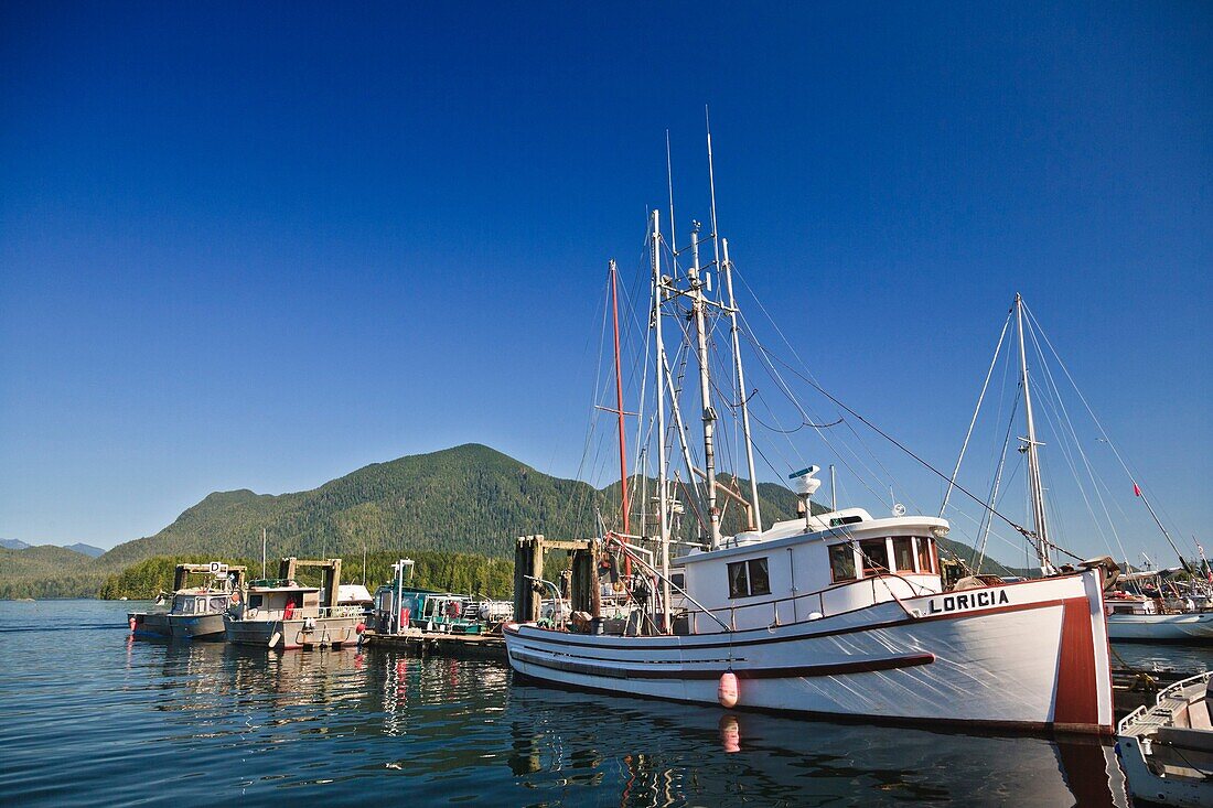 Boats in the harbor of Tofino, Vancouver Island, British Columbia, Canada