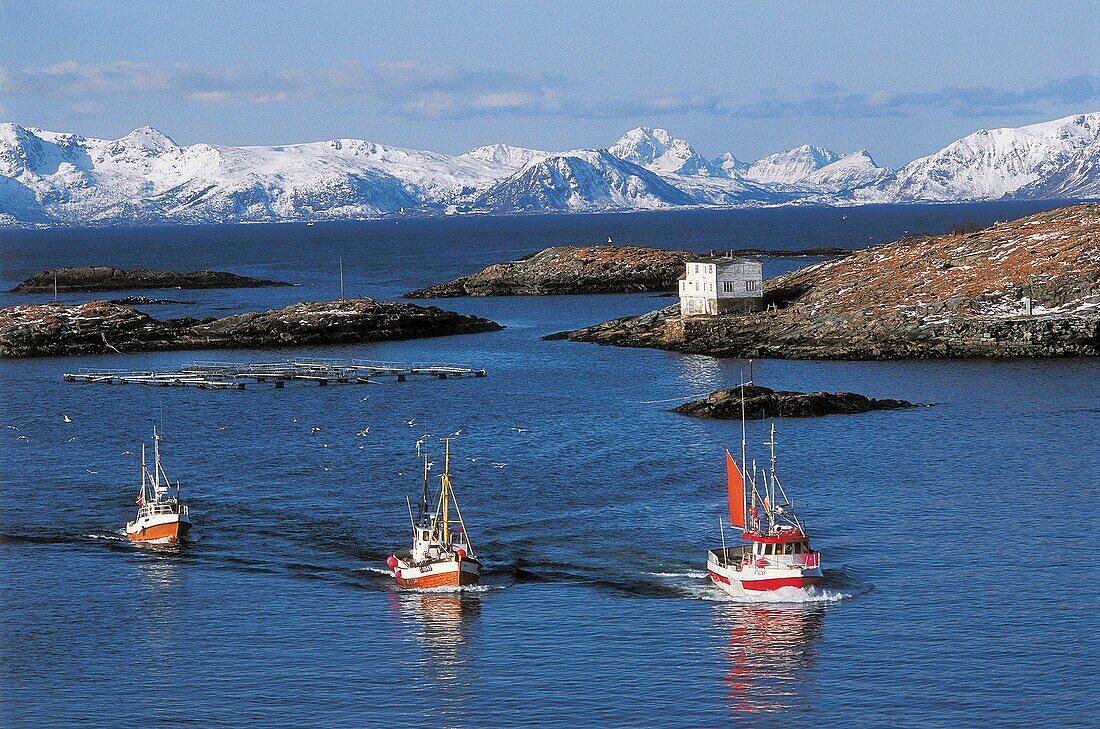 Norway, Nordland, Lofoten Islands, Fishing boats