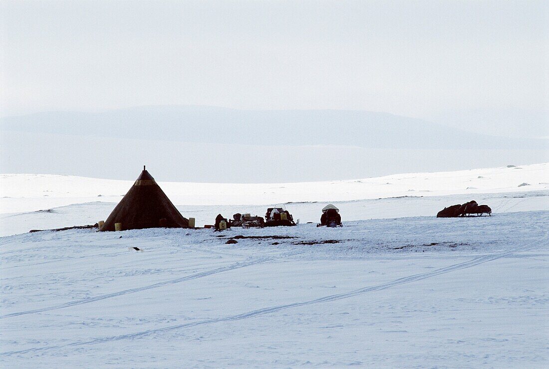 Norway, Finnmark, Spring reindeer migration, Our camp in the wild